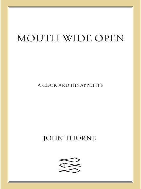 Mouth Wide Open, Matt Thorne, John Thorne