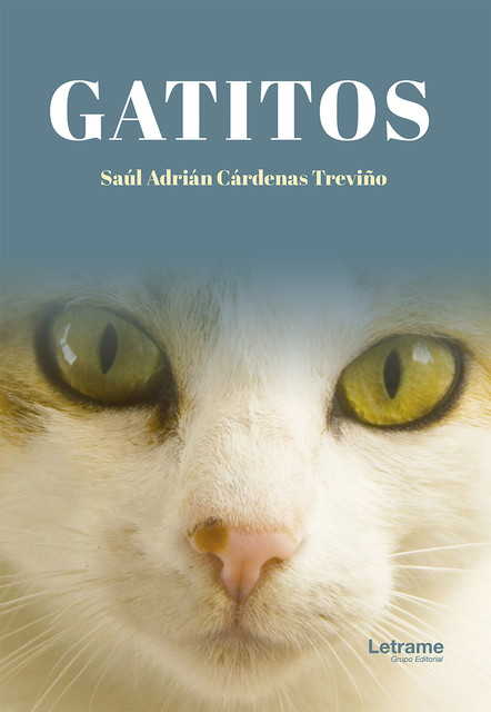 Gatitos, Saúl Adrián Cárdenas Treviño