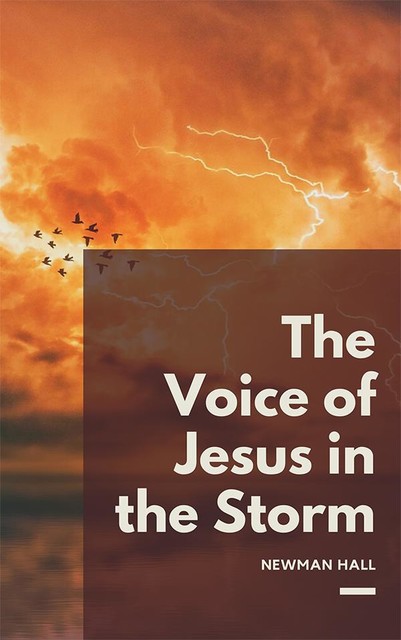 The Voice of Jesus in the Storm, Newman Storn