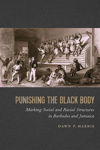 Punishing the Black Body, Dawn P. Harris