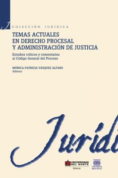 Temas actuales en derecho procesal y administración de justicia, María de Jesús Illera Santos, Mónica Patricia Vásquez Alfaro, Ana Giacomette Ferrer, Carolina Blanco Medina, César Augusto Alvear Jiménez, Luz Myriam Reyes Casas, María del Socorro Rueda Fonseca, Paul González Segrera, Rafael E. Fierro Méndez