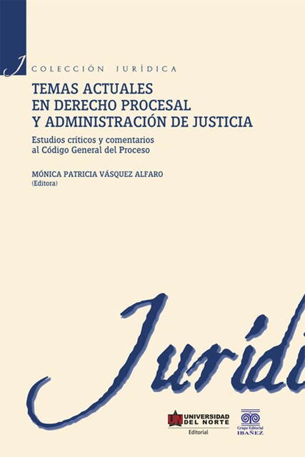 Temas actuales en derecho procesal y administración de justicia, María de Jesús Illera Santos, Mónica Patricia Vásquez Alfaro, Ana Giacomette Ferrer, Carolina Blanco Medina, César Augusto Alvear Jiménez, Luz Myriam Reyes Casas, María del Socorro Rueda Fonseca, Paul González Segrera, Rafael E. Fierro Méndez