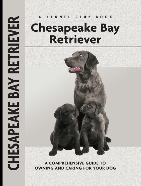 Chesapeake Bay Retriever, Nona Kilgore Bauer