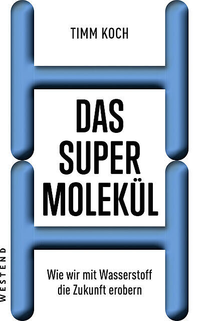 Das Supermolekül, Timm Koch