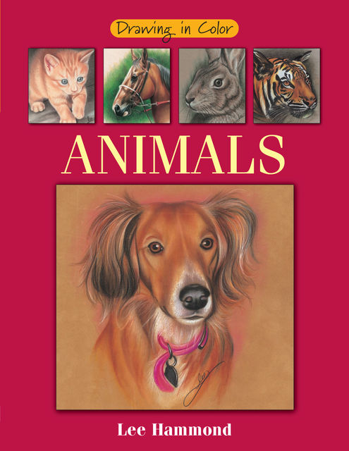 Drawing in Color – Animals, Lee Hammond