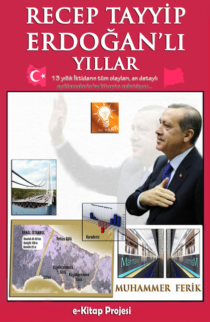 Recep Tayyip Erdoğan'lı Yıllar, Muhammer Ferik