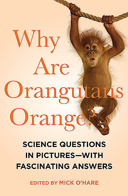 Why are Orangutans Orange?, Mick O’Hare