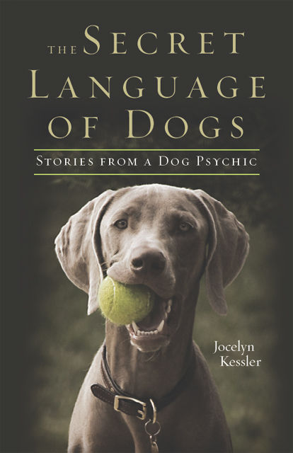 The Secret Language of Dogs, Jocelyn Kessler