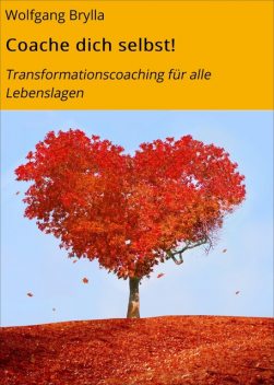 Coache dich selbst, Wolfgang Brylla