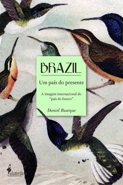 Brazil um país do presente, Daniel Buarque