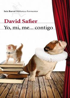 Yo, Mi, Me… Contigo, David Safier