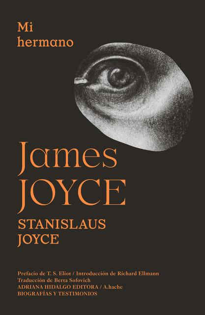 Mi hermano James Joyce, James Joyce