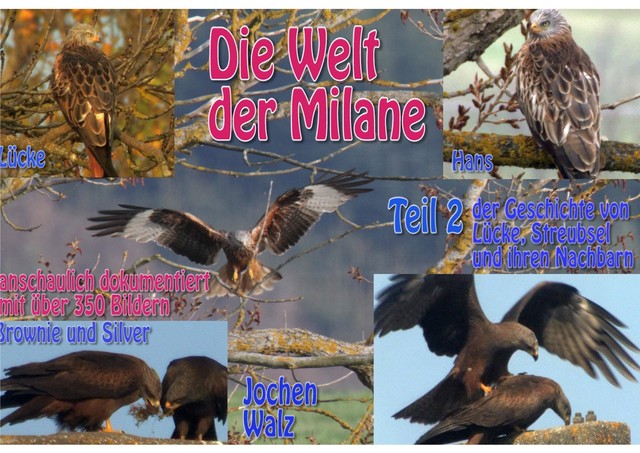 Die Welt der Milane Teil 2, Jochen Walz