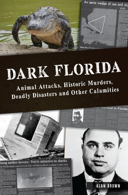 Dark Florida, Alan Brown