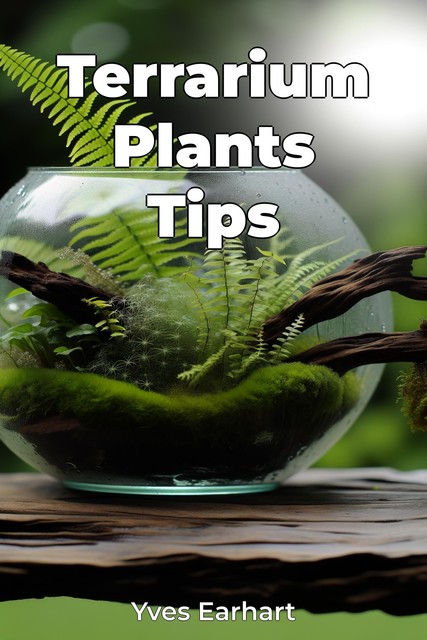 Terrarium Plants Tips, Yves Earhart