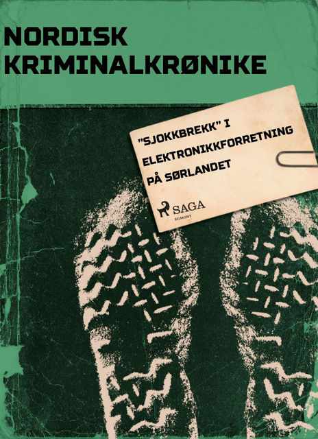 Sjokkbrekk” i elektronikkforretning på Sørlandet, - Diverse