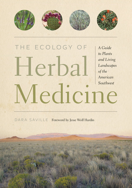 The Ecology of Herbal Medicine, Dara Saville