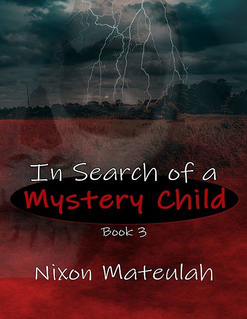 In Search of a Mystery Child Book 3, Nixon Mateulah