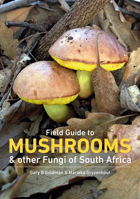 Field Guide to Mushrooms & Other Fungi of South Africa, Marieka Gryzenhout, Gary Goldman