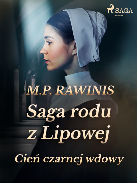 Saga rodu z Lipowej 10: Cień czarnej wdowy, Marian Piotr Rawinis