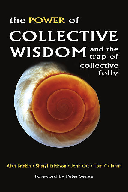 The Power of Collective Wisdom, Alan Briskin, Sheryl Erickson