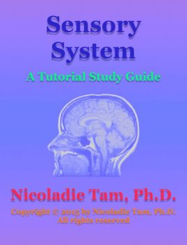 Sensory System: A Tutorial Study Guide, Nicoladie Tam