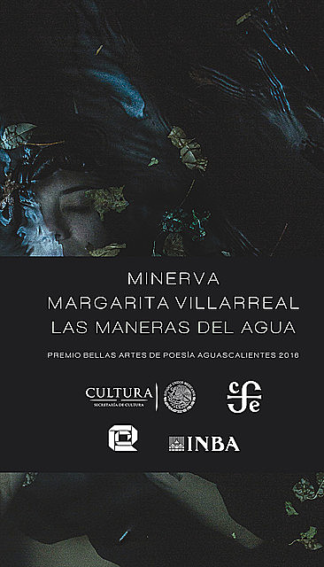 Las maneras del agua, Minerva Margarita Villarreal