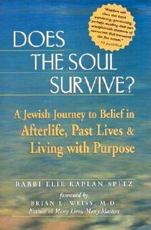 Does the Soul Survive, Rabbi Elie Kaplan Spitz