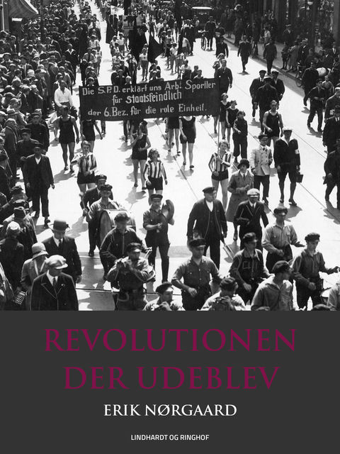 Revolutionen der udeblev, Erik Nørgaard