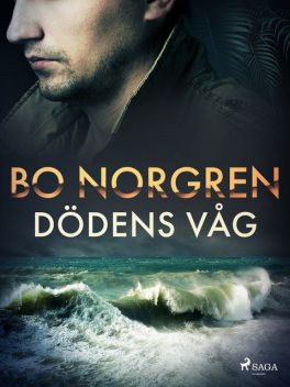 Dödens våg, Bo Norgren