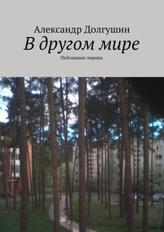 В другом мире, Александр Долгушин