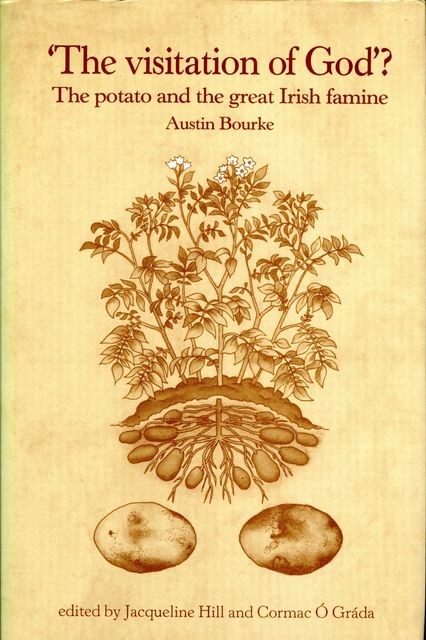 The Visitation of God, Austin Bourke