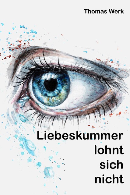 Liebeskummer lohnt sich nicht, Thomas Werk