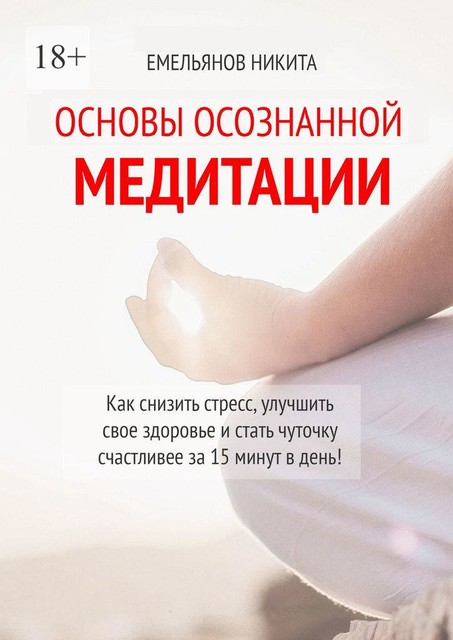 Основы осознанной медитации, Никита Емельянов