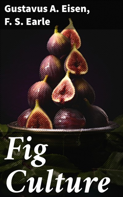 Fig Culture, F.S. Earle, Gustavus A. Eisen