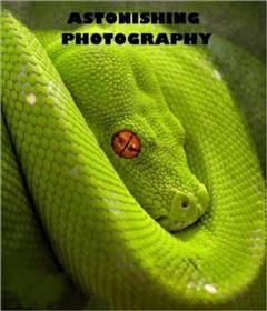 Astonishing Photography, Photography eBooks