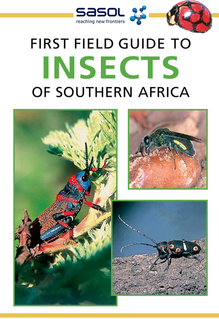 First Field Guide to Insects of Southern Africa, Alan Weaving
