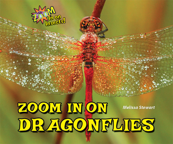 Zoom In on Dragonflies, Melissa Stewart