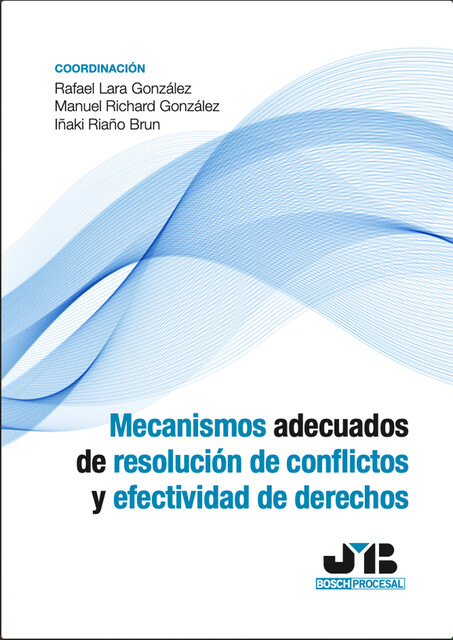 Mecanismos adecuados de resolución de conflictos y efectividad de derechos, Rafael González, Manuel González, Iñaki Zurutuza Arigita, Ainhoa Goñi Irulegui, Aránzazu Pérez Moriones, Iñaki Riaño Brun, Javier Pérez Font
