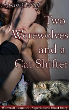 Two Werewolves And A Cat Shifter, Arian Wulf