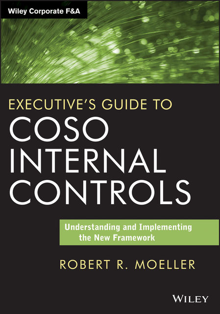 Executive's Guide to COSO Internal Controls, Robert R.Moeller