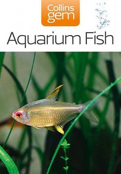 Aquarium Fish, Don Harper