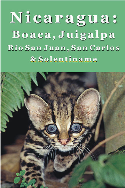 Nicaragua's Boaco, Chontales, Juigalpa, Río San Juan & Solentiname, Erica Rounsefel