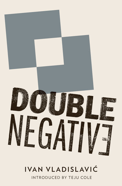Double Negative, Ivan Vladislavic