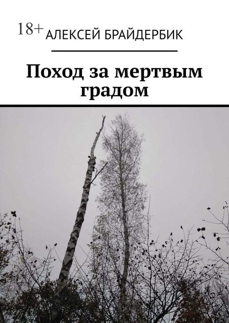 Поход за мертвым градом, Алексей Брайдербик