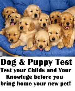 Dog Test, Nature Childrens eBooks