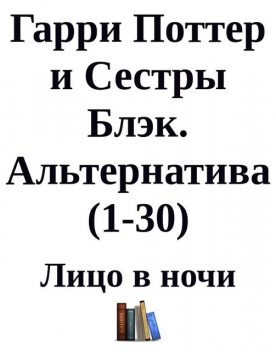 Гарри Поттер и Сестры Блэк. Альтернатива (1–30), Лицо в Ночи