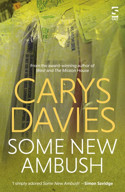 Some New Ambush, Carys Davies