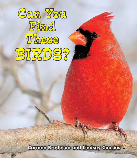 Can You Find These Birds?, Carmen Bredeson, Lindsey Cousins