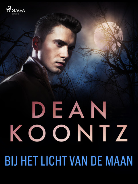 Bij het licht van de maan, Dean Koontz